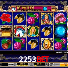 2253bet Salvador - Bonus Stats
